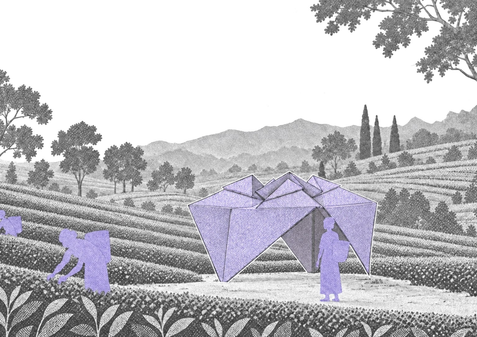 Original lavender Petal Shelter render in a tea plantation